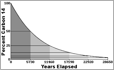 Carbon 14 decay rate