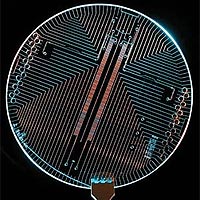 Lab on a chip<br /><br />UC Berkeley researchers hope that a 'lab on a chip' like this will fly to Mars six years from now to look for signs of life. The chip is a microcapillary electrophoresis system that will be able to determine the composition and 'handedness' of amino acids, should any be found on the planet.<br /><br />(Mathies Lab, UC Berkeley)
