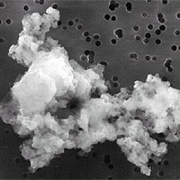 What does a piece of space dust look like? This picture shows one that is only 10 microns across. It was captured by a U2 aircraft in the stratosphere before it had a chance to burn up or hit the ground.
<P>
Image courtesy NASA