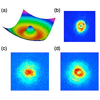 (a) In a donut, shaped, or 'toroidal' trap, atoms mostly exist in a red ring and do not reside in the center (blue region), which represents an energy hill they cannot climb. (b) Image of a Bose-Einstein condensate (BEC) in the donut trap. (c) When there is no fluid flow around the donut and the trap is turned off, atoms (red) rush to the center. (d) When fluid flows around the donut and the trap is turned off, the current around the donut persists and does not rush to fill the hole.<br /><br />Credit: NIST