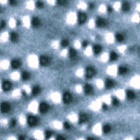 Micrograph of pyramid-shaped quantum dots grown from indium, gallium, and arsenic. Each dot is about 20 nanometers wide and 8 nanometers in height. 
<P>
Image courtesy NIST.
