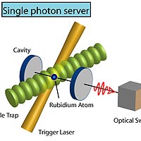 A single atom trapped in a cavity generates a single photon after being triggered by a laser pulse. After the source is characterised, the subsequent photons can be distributed to a user.<br /><br /> 
<a href='http://www.mpg.de/bilderBerichteDokumente/multimedial/bilderWissenschaft/2007/03/Rempe0701e/Web_Zoom.jpeg'>Click here for full image</A>
<br /><br /> 
Image: Max Planck Institute of Quantum Optics