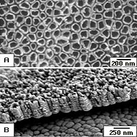 A) Titania nanotubes at 200 nanometer size. Top view.
<P>
B) Titania nanotubes at 250 nanometer size. Side view.
<P>
Credit: Penn State, Craig Grimes 
