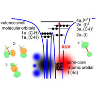 <p>XUV absorption from the core shell to vacancies in the valence shell are element specific and sensitive to the local chemical environment around the reporter atom. | Fig. MBI</p>
