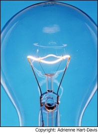 why an electric bulb