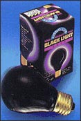 Black Litht Bulb