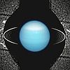 Image: Hubble Finds Additional Moons and Rings Around Uranus