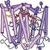 Image: Scientists offer fresh view of photosynthesis