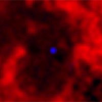 A 110-by-75 light-year-wide hole in the neutral hydrogen gas surrounding a magnetar shows that a massive star gave birth to this powerful magnetic object. Magnetars are the rare 'white tigers' of stellar astrophysics, comprising only 1% of known pulsars. In this image, red shows the neutral hydrogen gas mapped with CSIRO's Australia Telescope Compact Array and Parkes radio telescope, while blue represents Chandra X-ray Observatory data showing the magnetar. The bubble in the hydrogen was cleared out by a superstrong wind from the magnetar's progenitor star. <P>Credit: ATNF/CXC/B. Gaensler (CfA) 