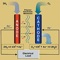 All fuel cells contain two electrodes - one positively and one negatively charged - with a substance that conducts electricity (electrolyte) sandwiched between them.<BR><BR>Image courtesy: EPA