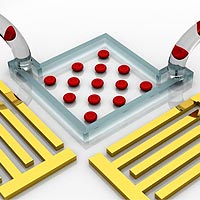 Acoustic tweezers enables flexible onchip manipulation and patterning of cells using standing surface acoustic waves.<br /><br />Photo Credit: Tony Jun Huang, Jinjie Shi, Penn State