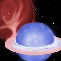 <p>
	An artist’s conception showing a blue straggler being created by mass transfer in a binary star system. The giant star, seen in red, has lost hold of its outer envelope. This material is pulled towards its partner, forming an accretion disk, and is eventually consumed by the 'proto-blue straggler.'</p>
<p>
	(Illustration by Aaron Geller)</p>
