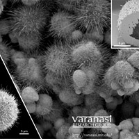 <p>
	Images taken with a Field Emission Scanning Electron Microscope show the nanowire bristles that form on copper particles of different sizes. At top right, a cross-section of one of the particles reveals its hollow interior.<br />
	Images courtesy of the Varanasi Lab</p>
