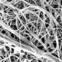 Carbon nanotubes (top) are applied to a NIST-developed pyroelectric detector that may improve thermal conductivity and resistance to laser damage. 

