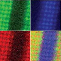 Electron spectroscopy identifies atoms in a cross section of an artificially layered material. Upper left shows an edge between layers of lanthanum and manganese atoms; upper right, an edge between lanthanum and titanium; lower left, a manganese-lanthanum edge; lower right, all three images combined. A line of purple shows that manganese and titanium atoms are mixing across their boundary, a problem that needs to be fixed to make the material useful.<br /><br />David Muller/Provided