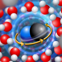 Each rotating cyanide ion creates a shock wave that throws back the surrounding water molecules, allowing it to spin for a time with essentially no friction.<br/>
<br/>
Credit: Nicolle Rager-Fuller, National Science Foundation