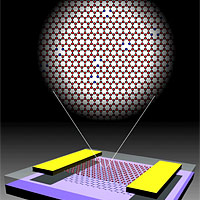 <p>
	Schematic of a graphene transistor showing graphene (red), gold electrodes (yellow), silicon dioxide (clear) and silicon substrate (black). Inset shows the graphene lattice with vacancy defects. Vacancies (missing atoms) are shown surrounded by blue carbon atoms.</p>
<p>
	Graphic by Jianhao Chen and Michael S. Fuhrer, University of Maryland.</p>
