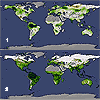 Image: Earth Grows Greener