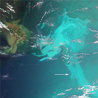 <p>False-color image of the Gulf of Mexico oil spill, created by combining data from different color bands on two of MISR's nine cameras. </p>
<p> </p>
<p> </p>