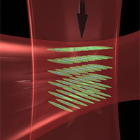 <p>
	Intersecting laser beams create 