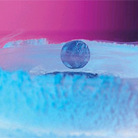 <p>
	This photo shows a magnet levitating above a high-temperature superconductor, cooled with liquid nitrogen. A persistent electric current flows on the surface of the superconductor, effectively forming an electromagnet that repels the magnet. The expulsion of an magnetic field from a superconductor is known as the 'Meissner Effect.'</p>
<p>
	Image courtesy: LANL</p>
