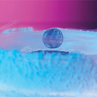 <p>
	This photo shows a magnet levitating above a high-temperature superconductor, cooled with liquid nitrogen. A persistent electric current flows on the surface of the superconductor, effectively forming an electromagnet that repels the magnet. The expulsion of an magnetic field from a superconductor is known as the 'Meissner Effect.'</p>
<p>
	Image courtesy: LANL</p>
