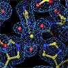 Image: New Tool for Reading a Molecule's Blueprints