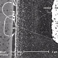 Magnified view of carbon nanotube grown on silicon MOS circuitry. The bright area on the upper right-hand side is the catalyst island upon which the nanotube was grown. (Image courtesy Ali Javey)