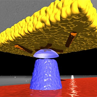 <p>In this diagram, viruses (colored orange) cling to the gold surface (yellow) at the end of a silicon cantilever. A magnetic tip (blue) creates a magnetic field that interacts with the viruses to create an image, using magnetic force resonance microscopy. </p>
<p><br />Image: Martino Poggio, University of Basel</p>