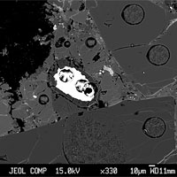 <p>A backscattered electron image of the narrow opal rim surrounding a bright metallic mineral inclusion in meteorite found in Antarctica. The circular holes in this image are spots where laser analyses have been performed. Credit: H. Downes.</p>
