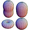 Image: New Proton Shapes Discovered