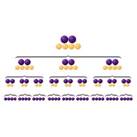 The new NIST architecture for quantum computing relies on several levels of error checking to ensure the accuracy of quantum bits (qubits). The image above illustrates how qubits are grouped in blocks to form the levels. To implement the architecture with three levels, a series of operations is performed on 36 qubits (bottom row)—each one representing either a 1, a 0, or both at once. The operations on the nine sets of qubits produce two reliably accurate qubits (top row). The purple spheres represent qubits that are either used in error detection or in actual computations. The yellow spheres are qubits that are measured to detect or correct errors but are not used in final computations.
