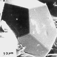 <p>
	Scanning electron micrograph of single grain of quasicrystal: an Aluminum - Copper - Iron alloy which crystallizes in the shape of a dodecahedron. This is one of the five Platonic solids, containing 12 faces of regular pentagons. Its symmetry is the same as that of the icosahedron, one of the other platonic solid with 20 faces of equilateral triangles.</p>
<p>
	Image courtesy of An Pang Tsai, NRIM, Tsukuba, Japan.</p>
