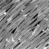 Image: Silver nanowires used as explosives detector