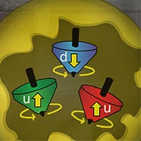 This artist's rendition shows quarks as spinning tops inside protons, with the protons embedded in a nucleus. A new theoretical calculation reveals that the spins of quarks may be modified by the environment of the protons and neutrons.