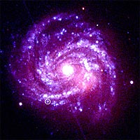 This optical-ultraviolet image shows a face-on view of the 'grand-design' spiral galaxy M100, about 56 million light years away in the Virgo galaxy cluster. The galaxy is about 100 000 light years across, much like our own spiral galaxy. The position of supernova SN 1979C is marked with a white circle.<br/>
<br/>
The image was taken with XMM-Newton's Optical Monitor in the B, U and UVW1 filters. The streak across the image is from an artifact caused by the camera.<br/>
<br/>
Credits: ESA/NASA/Immer et al.