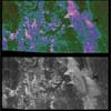 Image: Radar Image Shows Titan's Surface Live and in Color