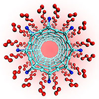 This computer model shows how titanium atoms (dark blue) can attach above the centers of single-walled carbon nanotubes (light blue). Quantum calculations and modeling by a NIST researcher and his colleague reveal that each titanium atom can bond with four hydrogen molecules (red), a finding that could lead to efficient fuel cells for future automobiles. <BR><BR>Image Credit: T. Yildirim/NIST 