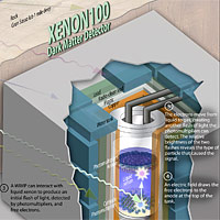 <p>
	1) The surface of the Earth is constantly bombarded by cosmic radiation. Only the most energetic particles penetrate the rock, so detectors aiming to 'see' the rare signal from cosmic Dark Matter are placed beneath the Earth.</p>
<p>
	2) Dark Matter in the form of Weakly Interacting Massive Particles (WIMPs) can traverse the Earth without interacting with it to reach XENON100, a detector filled with liquid xenon that is designed to be sensitive to such rare encounters.</p>
<p>
	3) A WIMP interaction in the liquid xenon will excite atoms and free electrons, which will be picked up again swiftly by the atoms. Both processes produce a flash of light that can be detected by photomultipliers, which act as extremely sensitive cameras, at each end of the tank.</p>
<p>
	4) An electric field running through the detector prevents some of the electrons from recombining with the xenon atoms. These free electrons are pushed upwards towards the anode, an electrode through which electric current flows, until they reach the liquid-to-gas interface.</p>
<p>
	5) At the interface, a stronger electric field pulls the electrons out of the liquid into the gas, where they create another flash of light that is detected by the same photomultipliers. The brightness of this second flash compared with the first one reveals the type of particle that caused the signal.</p>
<p>
	The XENON collaboration consists of 60 scientists from 14 institutions in the U.S. (Columbia University, N.Y.; University of California Los Angeles; and Rice University, Houston), China (Shanghai Jiao Tong University), France (Subatech Nantes), Germany (Max-Planck-Institut für Kernphysik Heidelberg, Johannes Gutenberg University Mainz, Westfälische Wilhelms-Universität Münster), Israel (Weizmann Institute of Science), Italy (Laboratori Nazionali del Gran Sasso, INFN e Università di Bologna), Netherlands (Nikhef Amsterdam), Portugal (Universidade de Coimbra) and Switzerland (Universität Zürich).</p>
<p>
	Credit: Zina Deretsky, National Science Foundation</p>
