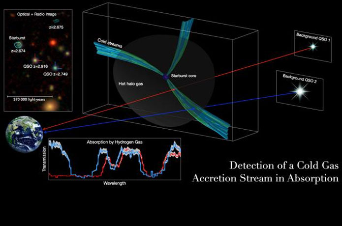 <p>Researchers led by the University of Iowa have detected cosmic pipelines supplying the cold gases necessary for the formation of massive galaxies and the creation of stars. It is the first direct observational evidence of the phenomenon in the early universe.</p>

<p>Image courtesy of Hai Fu.</p>
