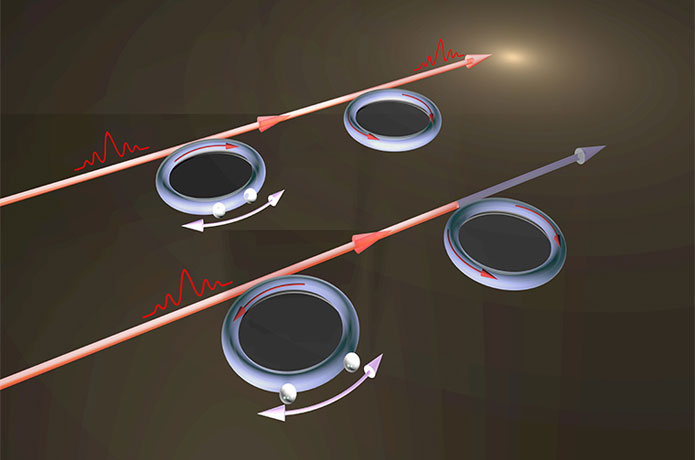 <p>Electromagnetically induced transparency (EIT) is 'tuned' by two particles on the optical resonator. The different locations of particles control the propagation of light in either clockwise or counterclockwise directions, which switch on (upper configuration) or off (lower configuration) the interference of light, leading to controllable brightness (EIT) and darkness in the output. (Image: Yang Lab)</p>
