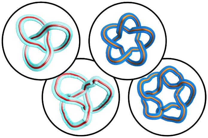 <p>Top view of the framed knots generated in this work. Courtesy of uOttawa.</p>
