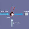 Image: Putting a Spin on Light and Atoms