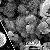 Image: Bristly particles could be boon for powerplants