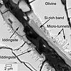 Image: NASA Scientists Find Evidence of Water in Meteorite