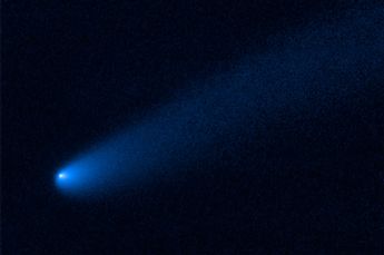 Image: Comet Makes a Pit Stop Near Jupiter's Asteroids