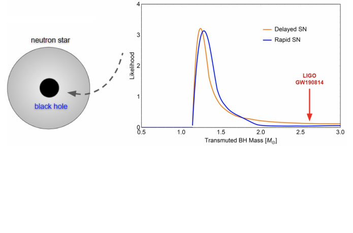 <p>[Left] A tiny primordial black hole being captured by a neutron star, subsequently devouring it and leaving a “transmuted” solar-mass black hole remnant behind. [Right] Expected mass distribution of “transmuted” solar-mass black holes following neutron stars formed as a result of a delayed or a rapid supernova. The LIGO GW190814 event with 2.6 solar-mass black hole candidate is also shown.</p>

<p>Credit: Takhistov et. al.</p>
