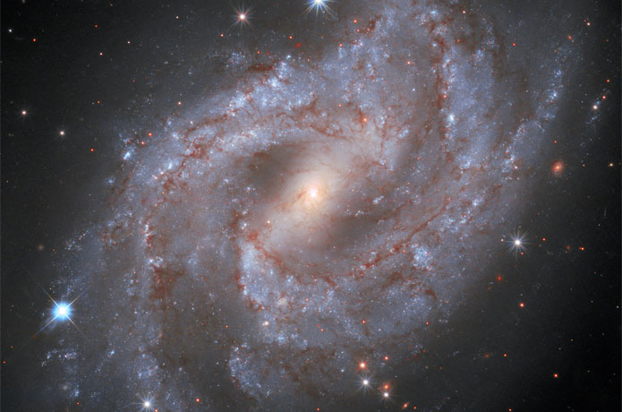 <p>Astronomers using NASA's Hubble Space Telescope captured the quick, fading celebrity status of a supernova, the self-detonation of a star. The supernova, called SN 2018gv, appears in the lower left portion of the frame as a blazing star located on the outer edge of spiral galaxy NGC 2525, located 70 million light-years away.</p>

<p>Credits: NASA, ESA, and A. Riess (STScI/JHU) and the SH0ES team; acknowledgment: M. Zamani (ESA/Hubble)</p>
